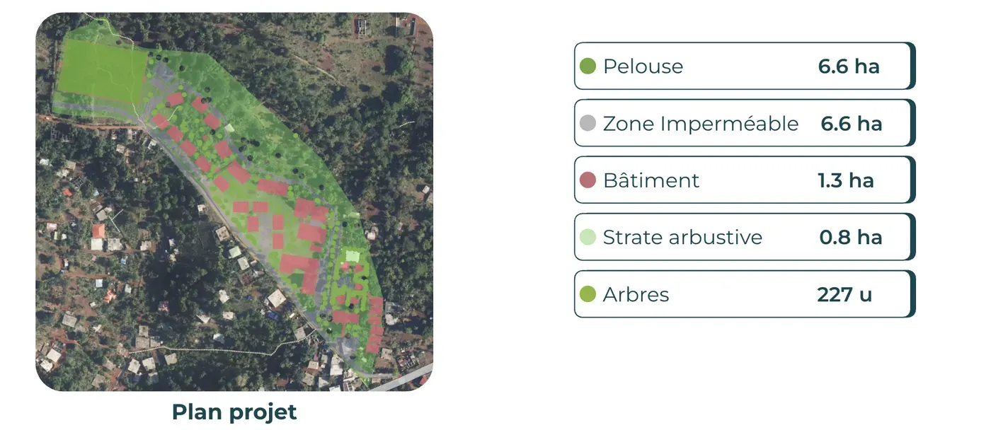 Plan projet adapté par Netcarbon