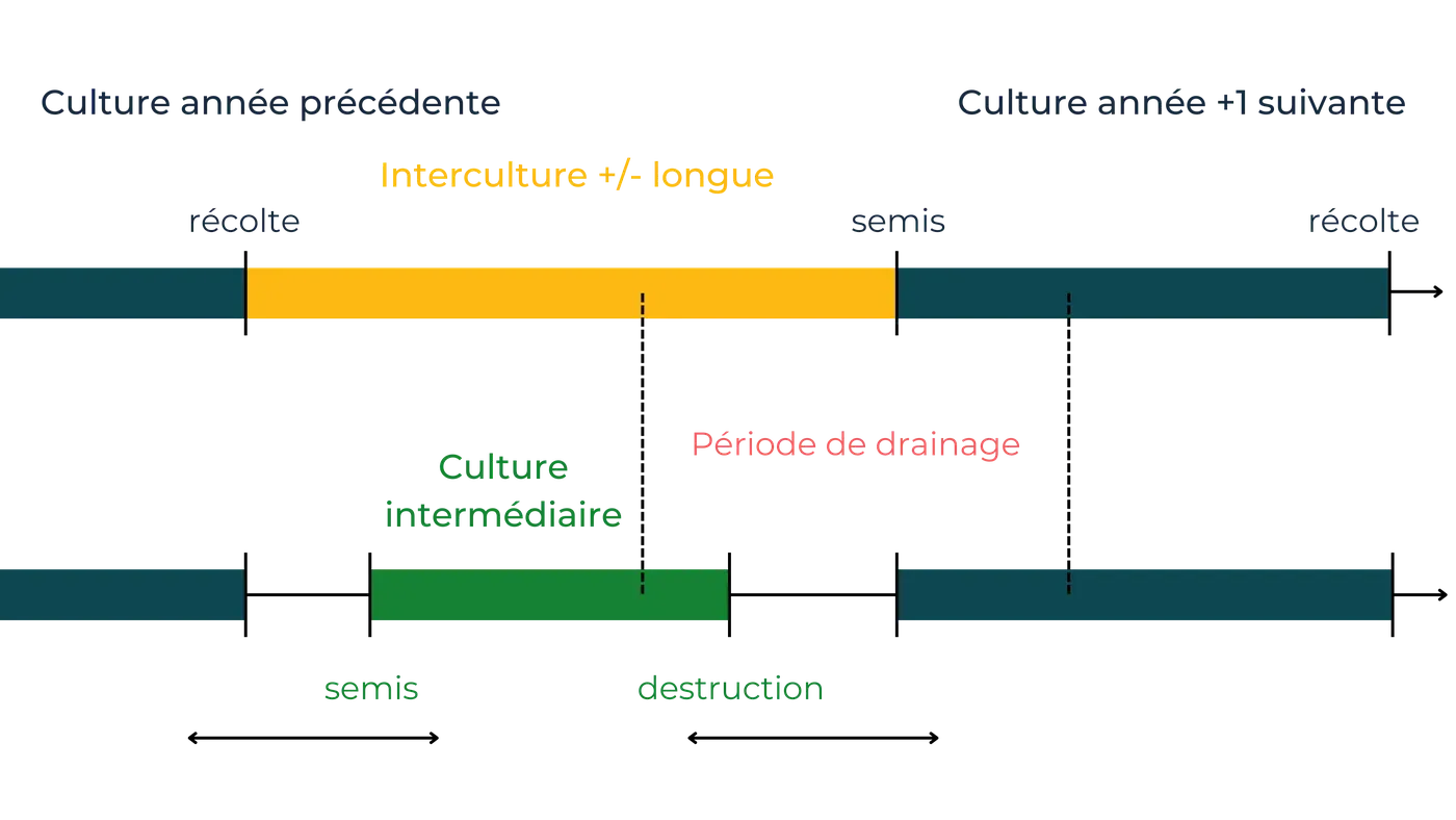 Succession de cultures annuelles – Schéma (Juste et al, 2012)
